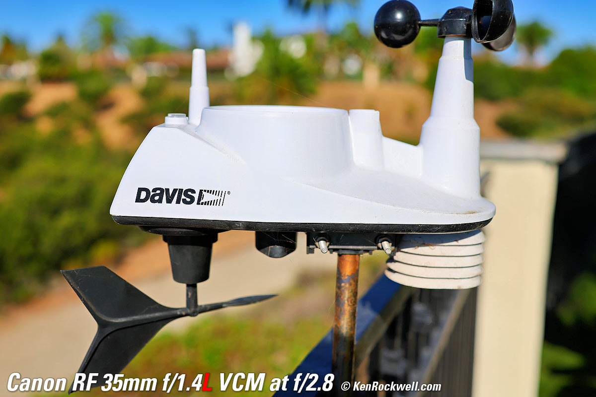 Canon RF 35mm f/1.4L VCM Macro Sample Image