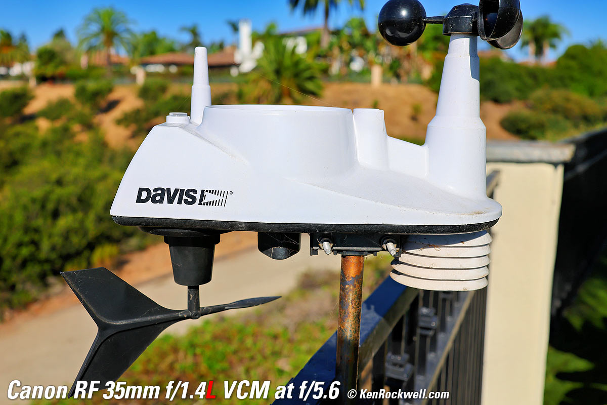 Canon RF 35mm f/1.4L VCM Macro Sample Image