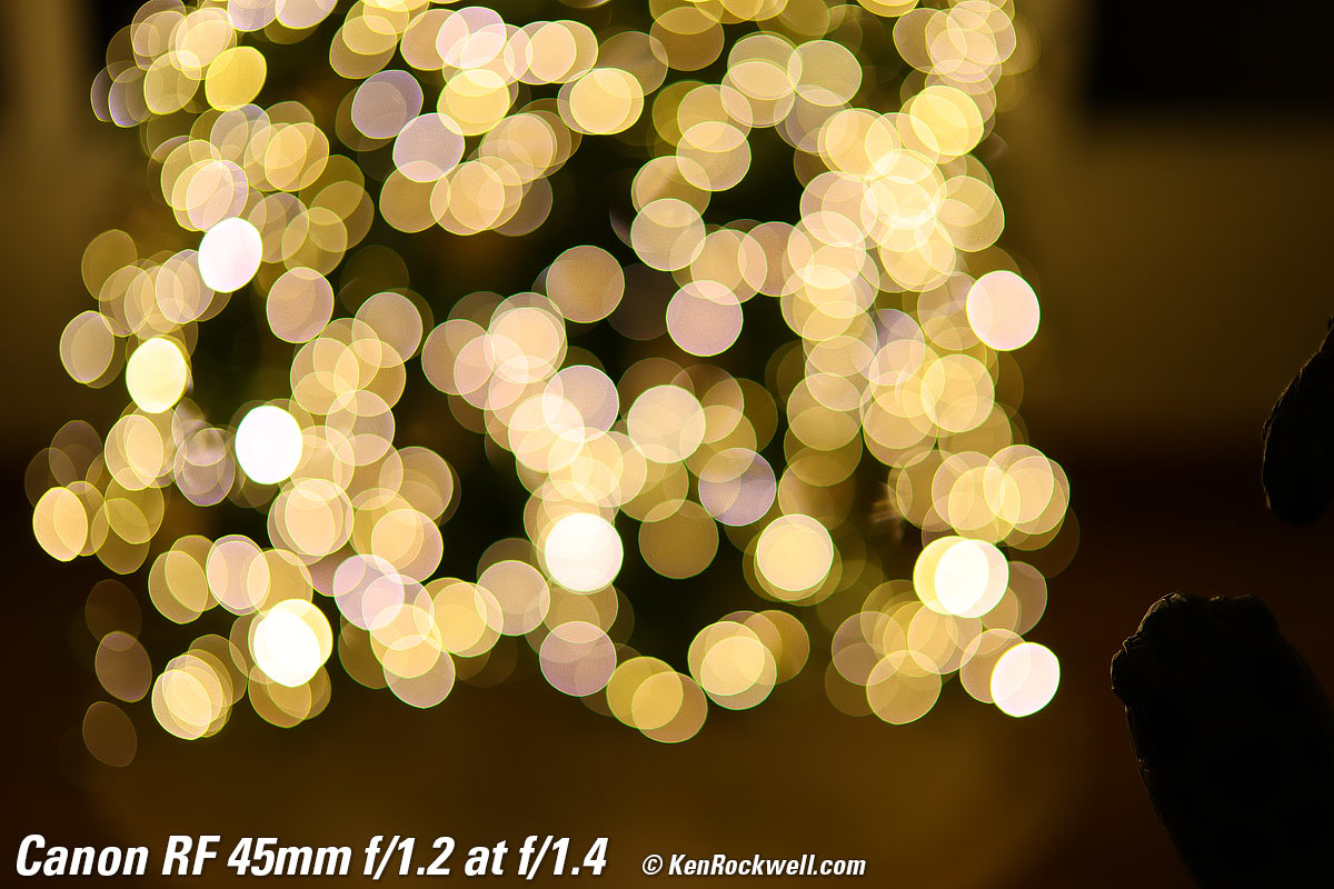 Canon RF 45mm f/1.2 Bokeh Sample Image Files