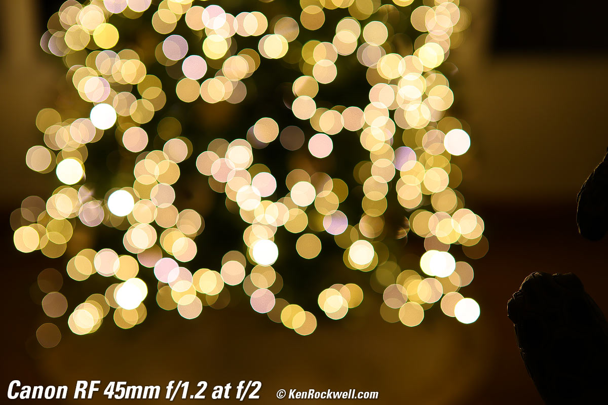 Canon RF 45mm f/1.2 Bokeh Sample Image Files
