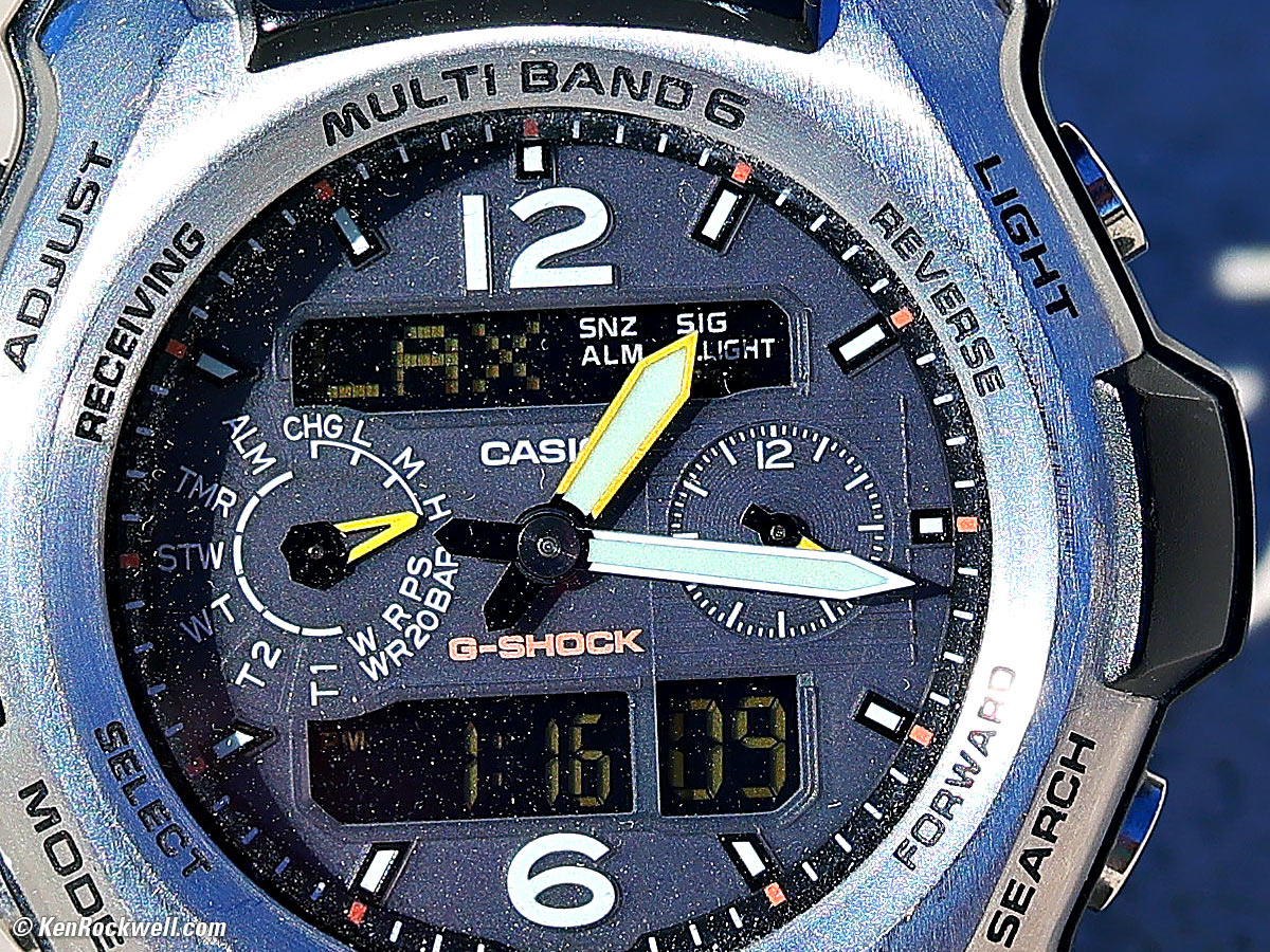 Canon RF 45mm f/1.2 Macro Sample Image