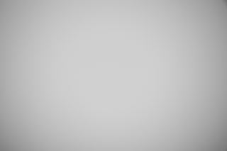 Canon RF 45mm f/1.2 falloff sample image