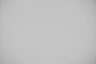 Canon RF 45mm f/1.2 falloff sample image