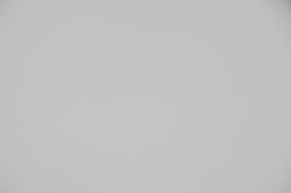 Canon RF 45mm f/1.2 falloff sample image