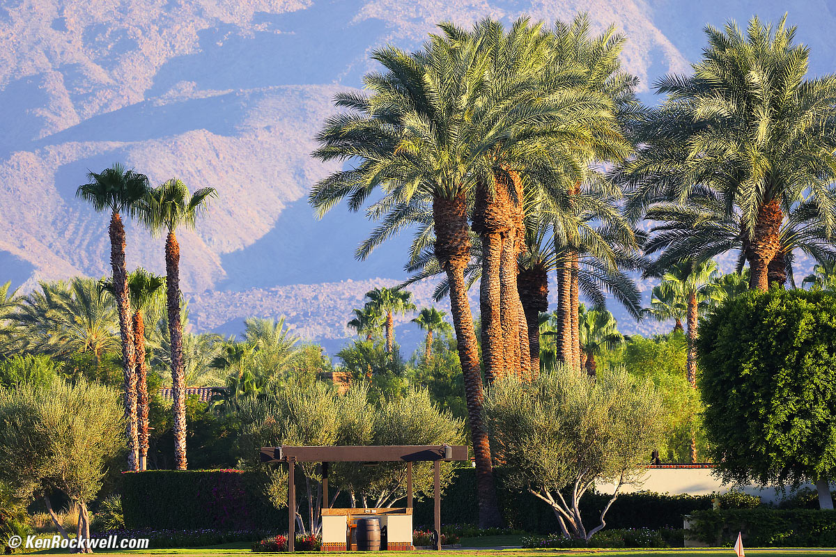 Canon RF 600mm f/11 Sample Image File