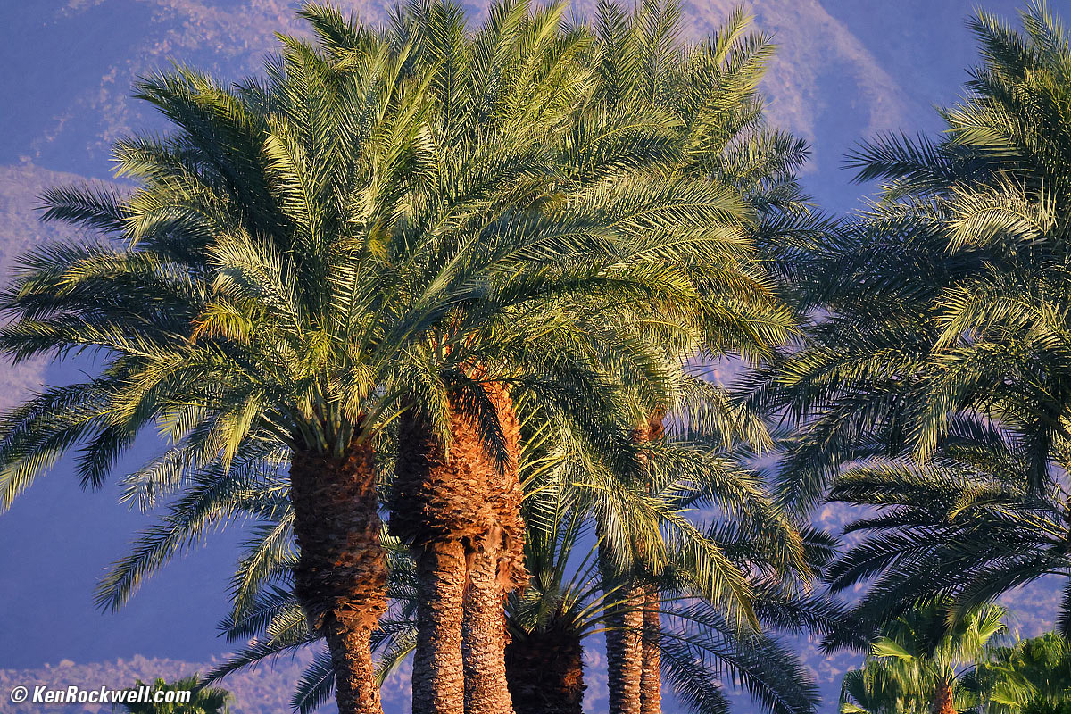 Canon EOS R5 Sample Image File