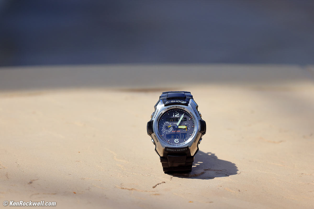 Canon RF 600mm Macro Performance Sample Image File