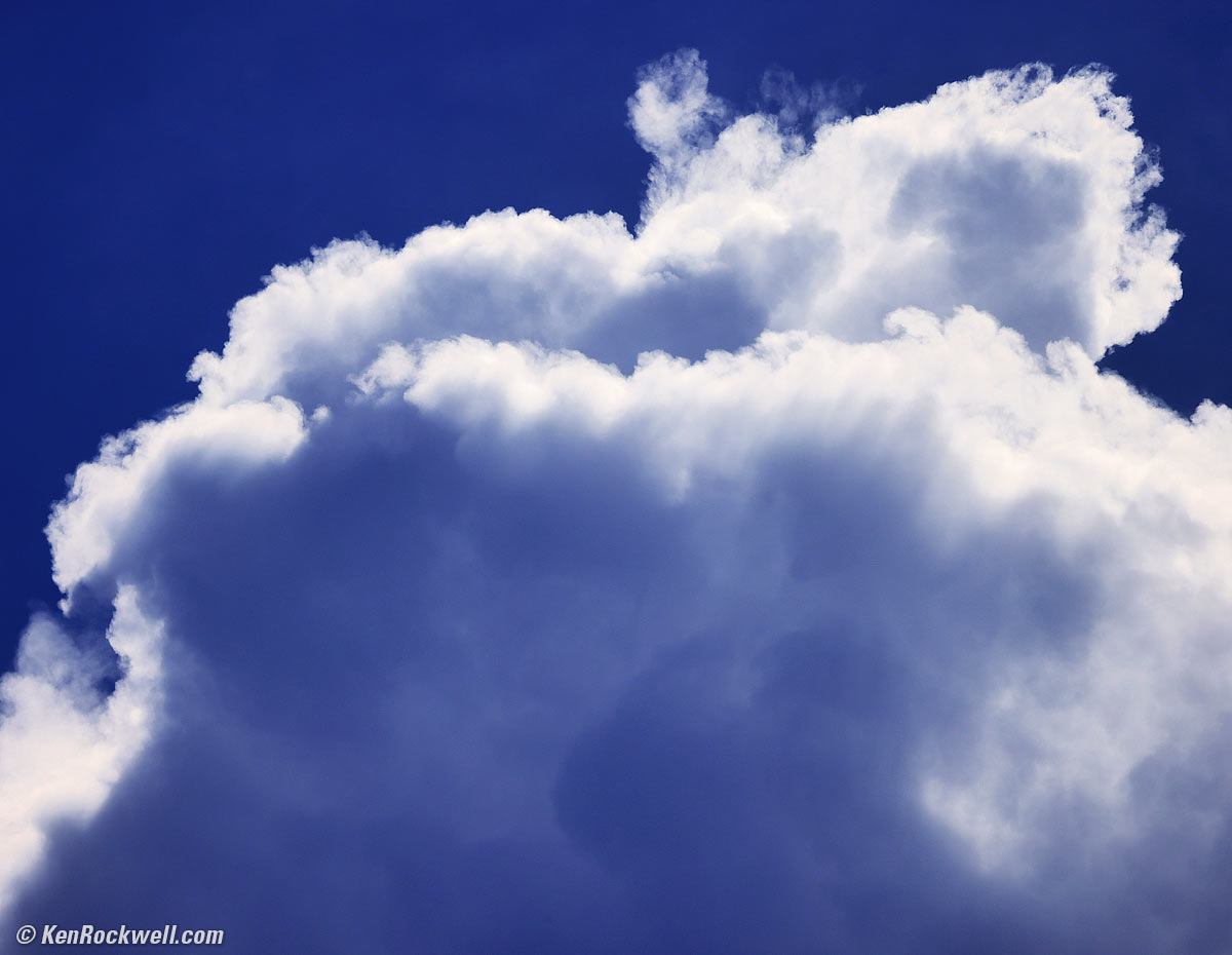 Canon RF 600mm f/11 Sample Image File