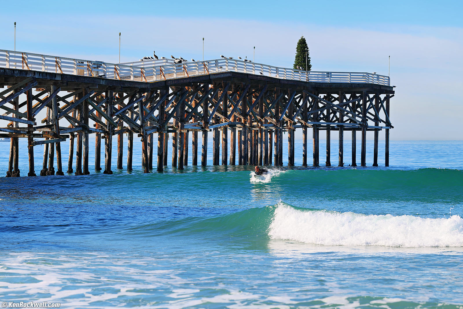 Canon RF 70-200mm f/2.8L IS USM Z Sample Image