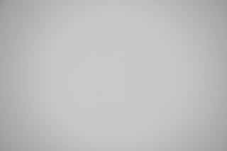 Canon RF 70-200mm f/4 L IS falloff