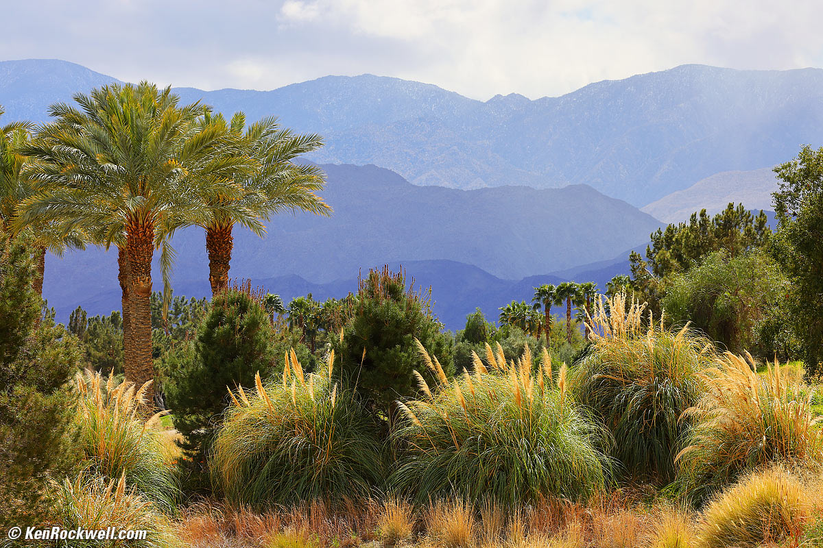 Canon R5 and RF 70-200mm f/4 L IS Sample Image File