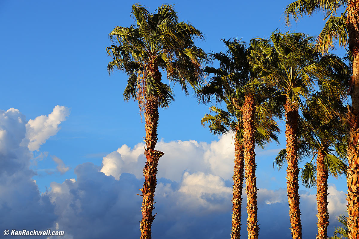 Canon R5 and RF 70-200mm f/4 L IS Sample Image File