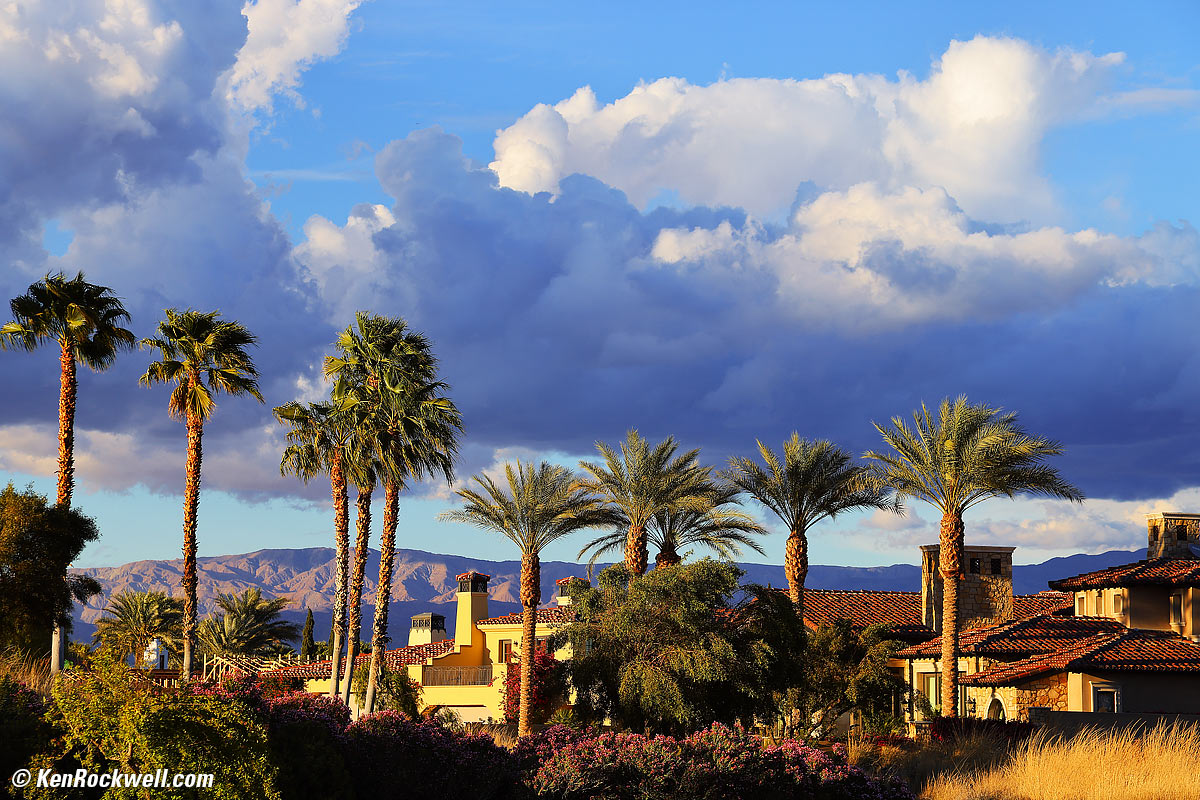 Canon R5 and RF 70-200mm f/4 L IS Sample Image File