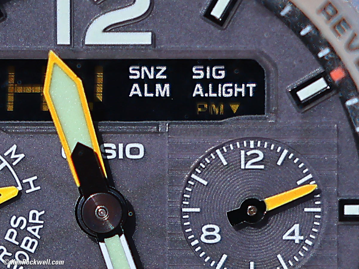 Canon RF 70-200mm f/4 Macro Sample Image File