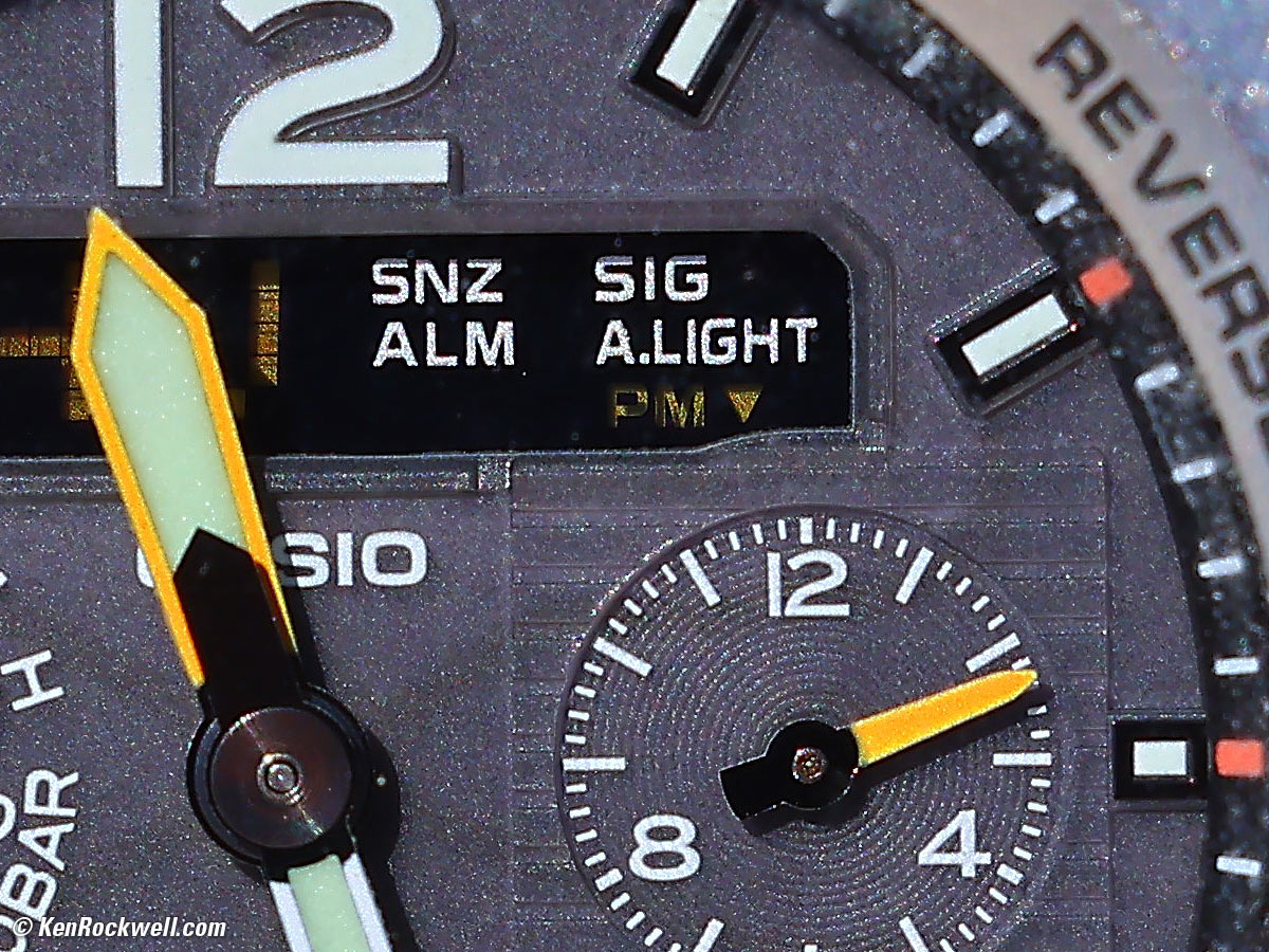 Canon RF 70-200mm f/4 Macro Sample Image File