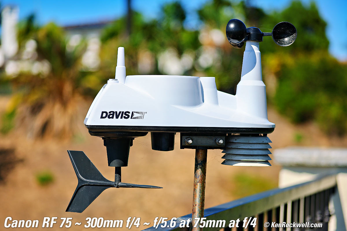 Canon RF 75-300mm Bokeh