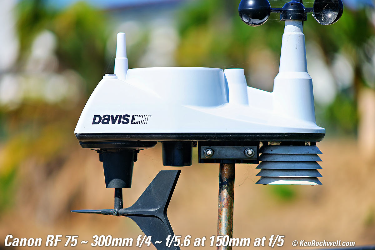 Canon RF 75-300mm Bokeh