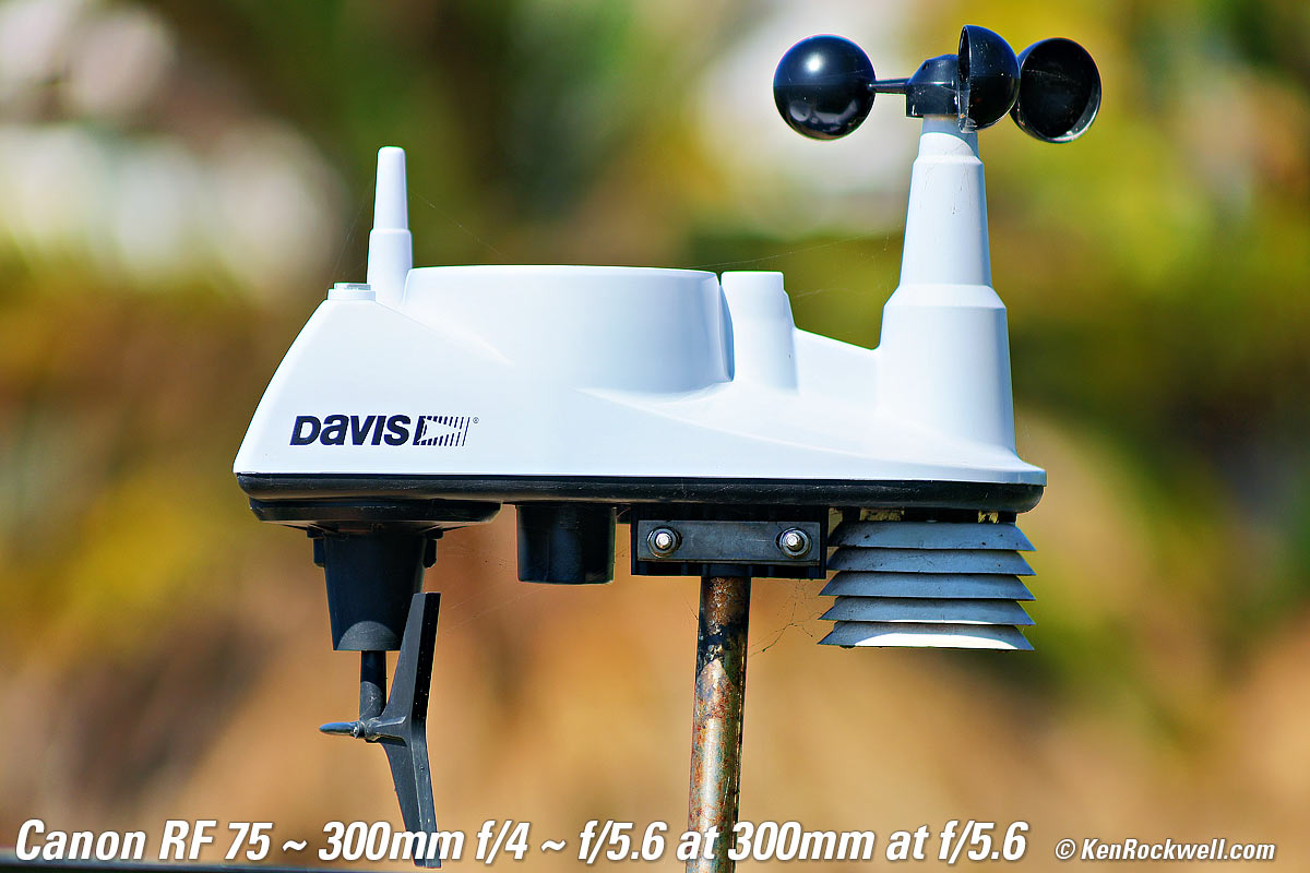 Canon RF 75-300mm Bokeh