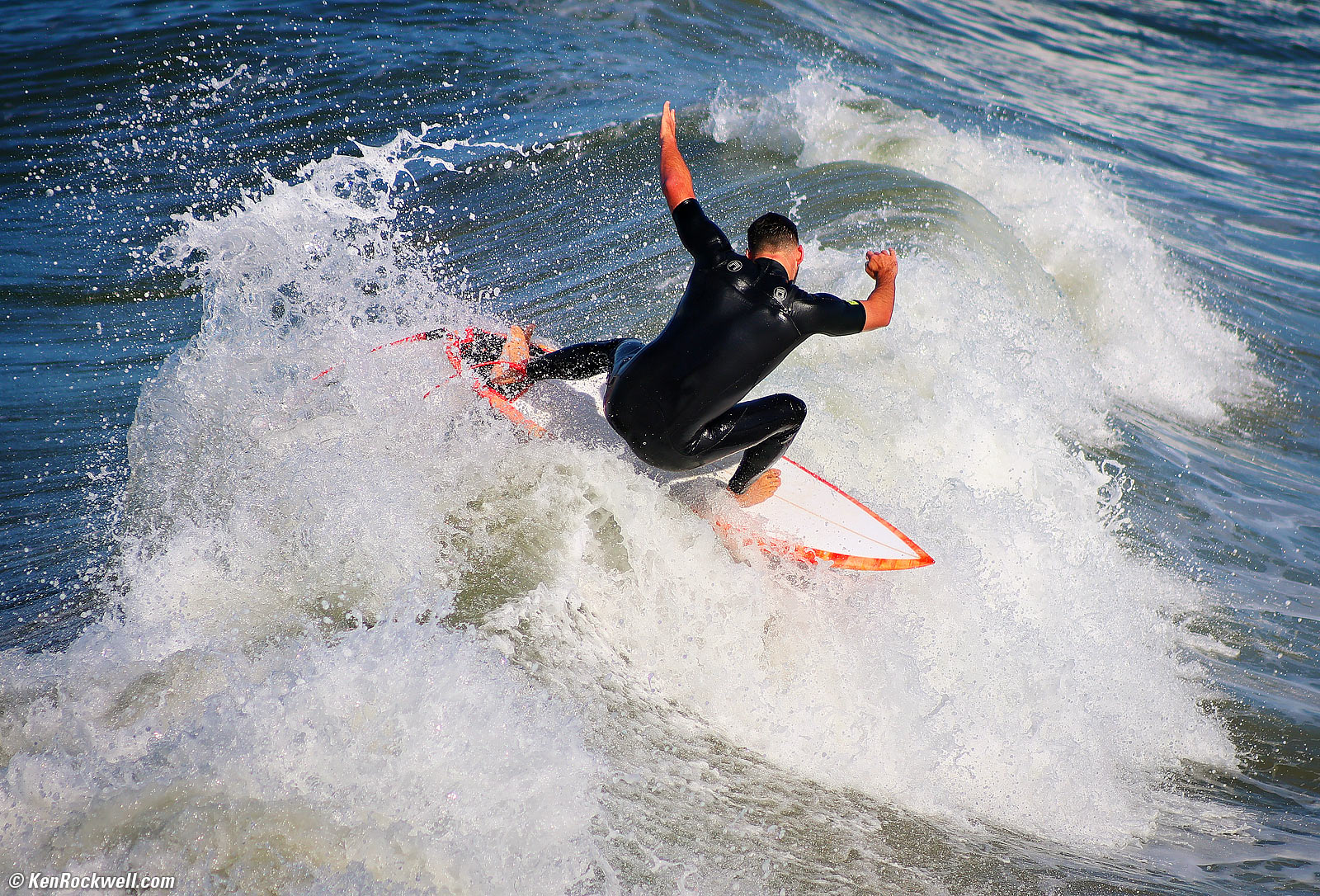 Canon EOS R1 and RF 75-300mm Sample Image