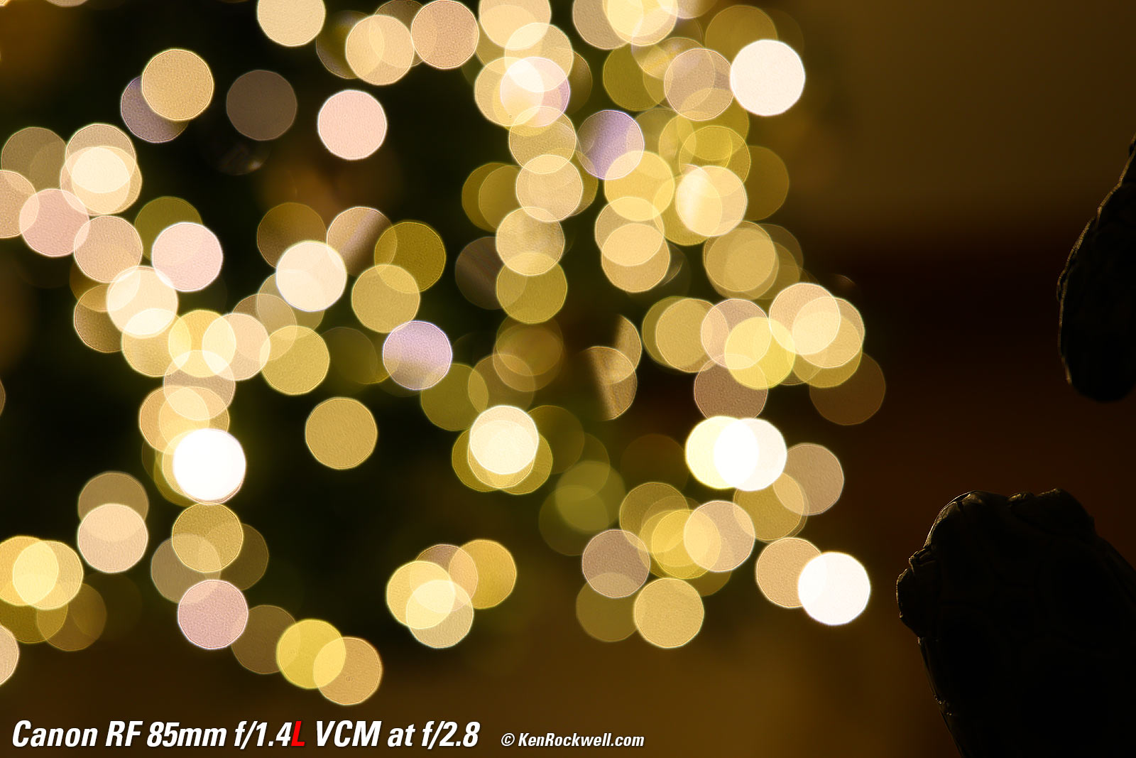 Canon RF 85mm f/1.4 Bokeh Sample Image Files