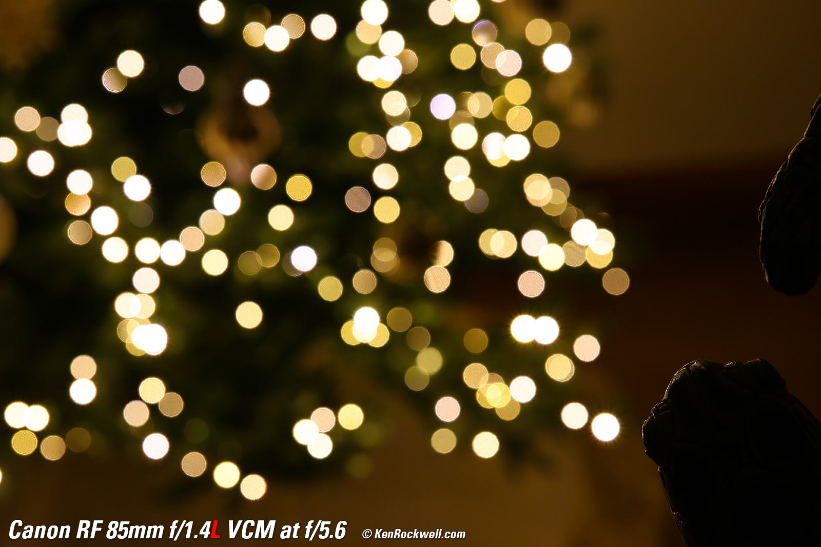 Canon RF 85mm f/1.4 Bokeh Sample Image Files