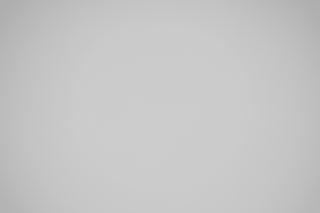 Canon RF 85mm f/1.4L VCM falloff