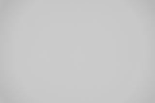 Canon RF 85mm f/1.4L VCM falloff