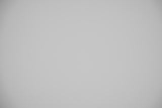 Canon RF 85mm f/1.4L VCM falloff