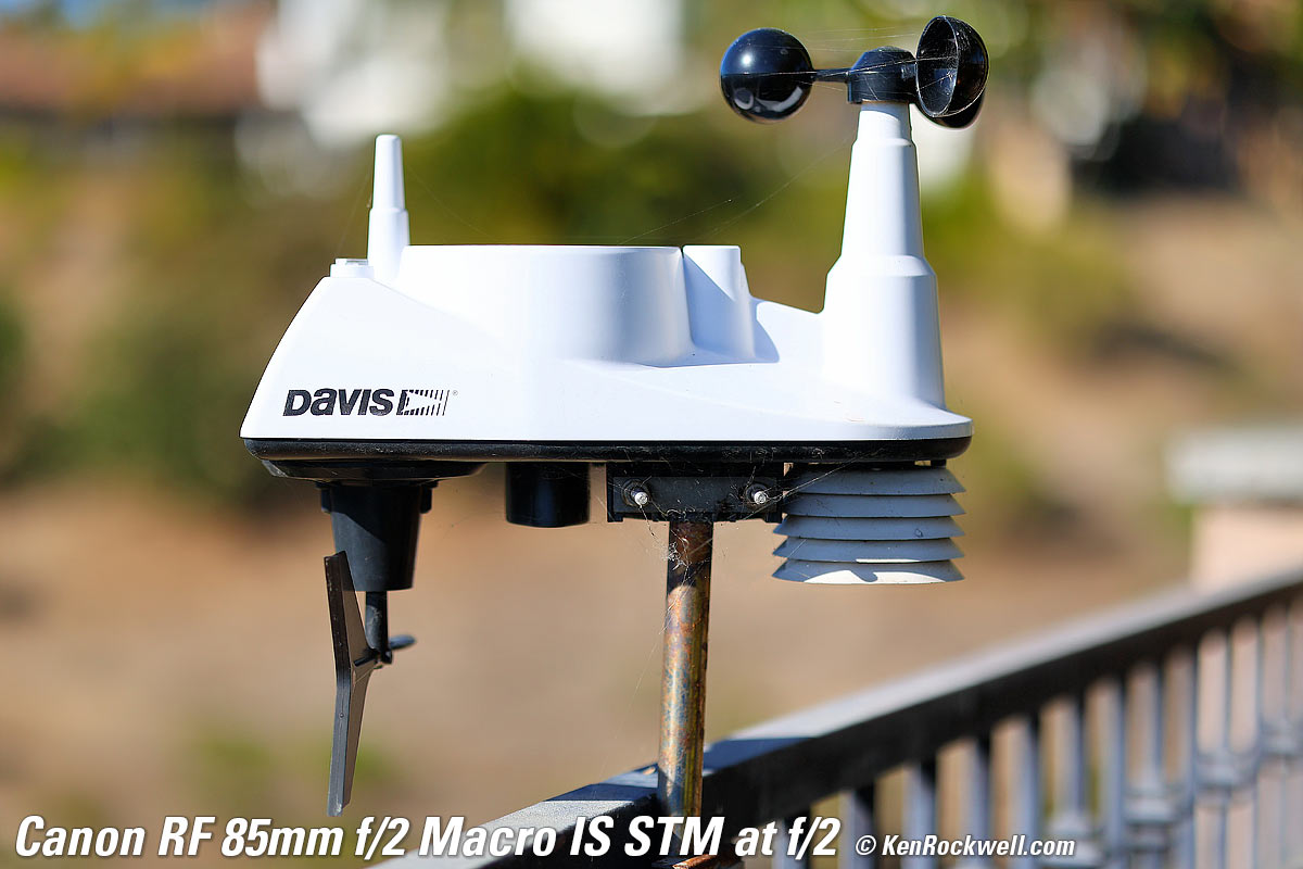 Canon RF 35 1.8  Bokeh