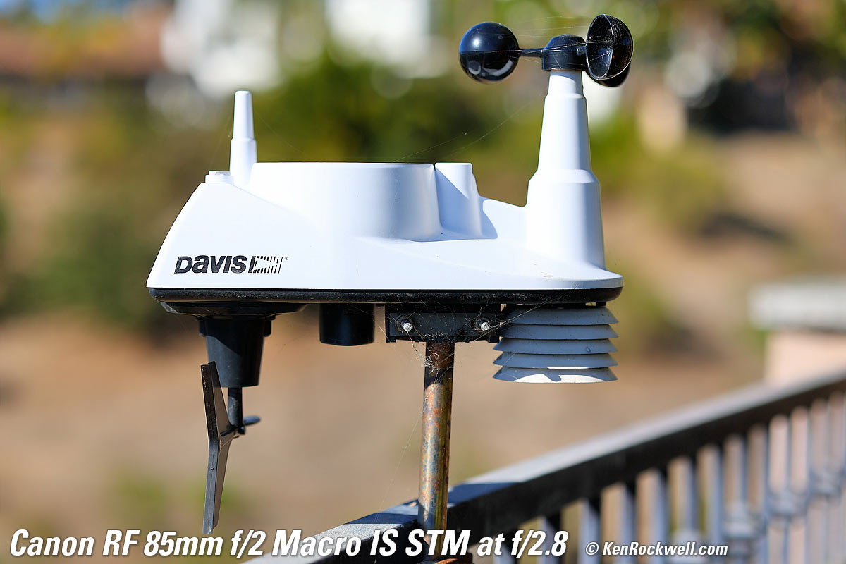 Canon RF 35 1.8  Bokeh