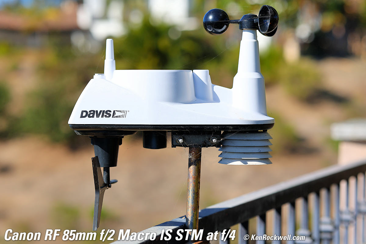 Canon RF 35 1.8  Bokeh