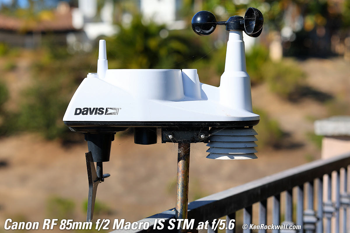 Canon RF 35 1.8  Bokeh