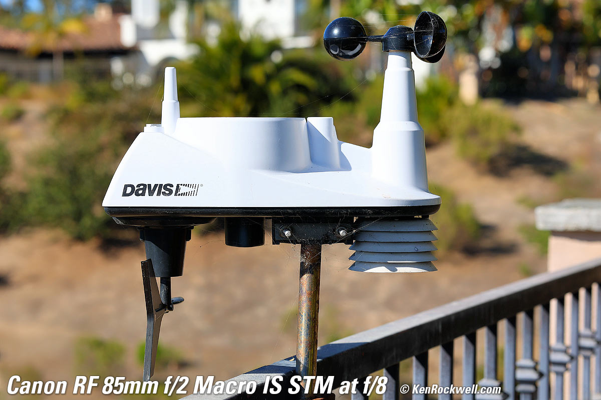 Canon RF 35 1.8  Bokeh