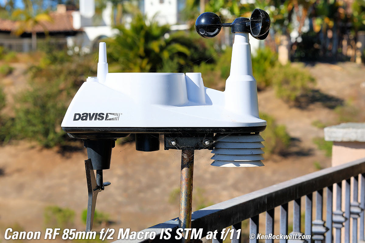 Canon RF 35 1.8  Bokeh