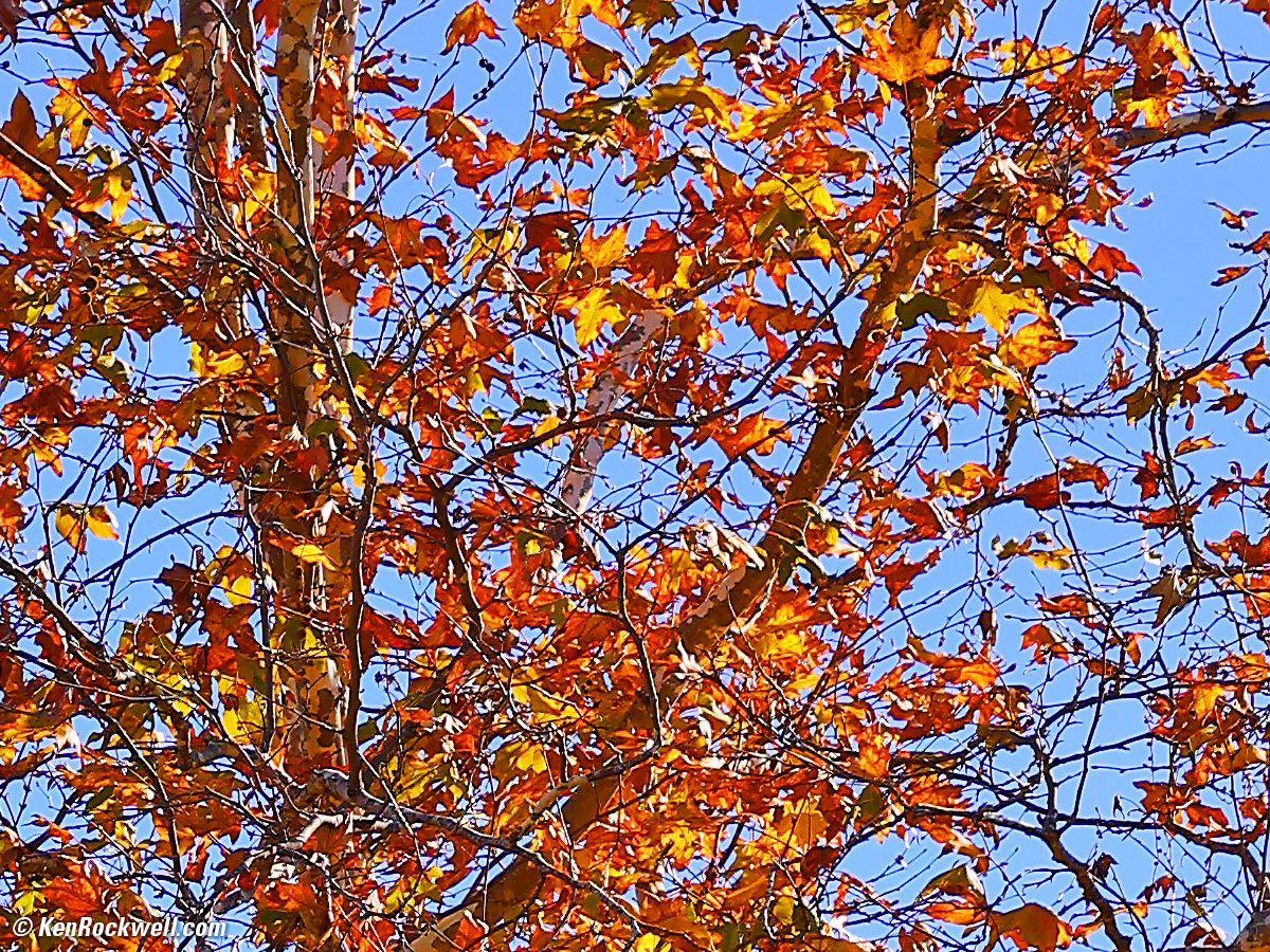 Canon 85mm f/2 sharpness