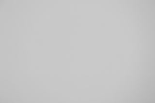 Canon RF 85mm f/2 Macro falloff