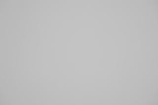 Canon RF 85mm f/2 Macro falloff