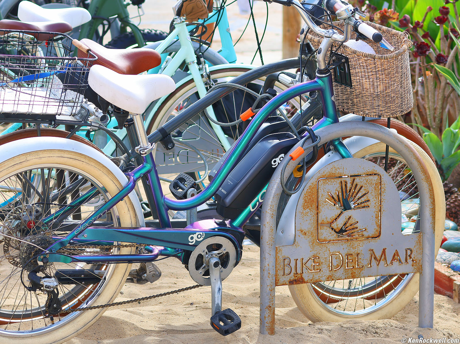 Canon EL-100 Sample Image