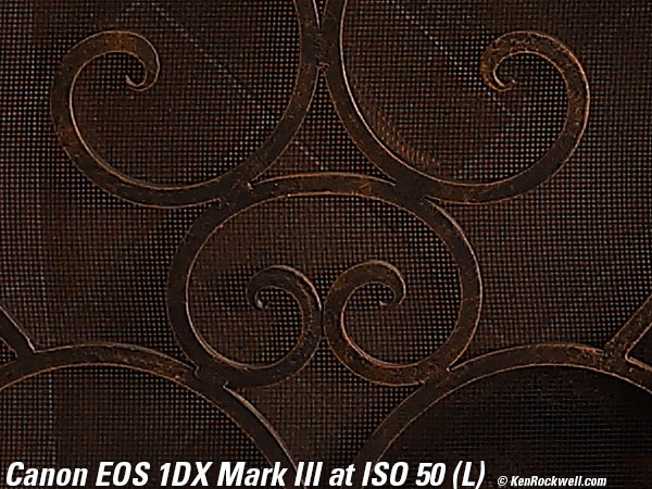 Canon 1DX Mark III High ISO Performance Sample Image File