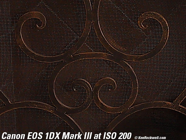 Canon 1DX Mark III High ISO Performance Sample Image File