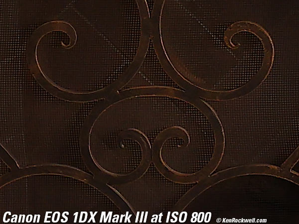 Canon 1DX Mark III High ISO Performance Sample Image File