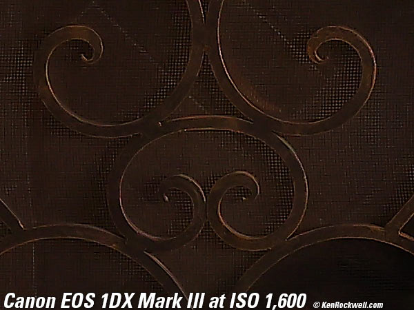 Canon 1DX Mark III High ISO Performance Sample Image File