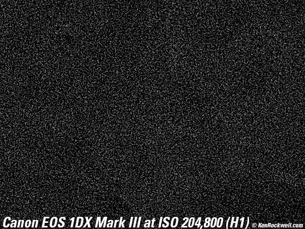 Canon 1DX Mark III High ISO Performance Sample Image File