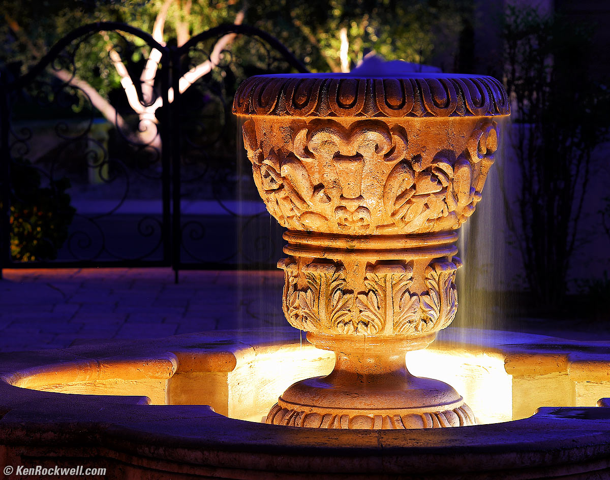 Canon 1DX Mk III Sample Image FIle