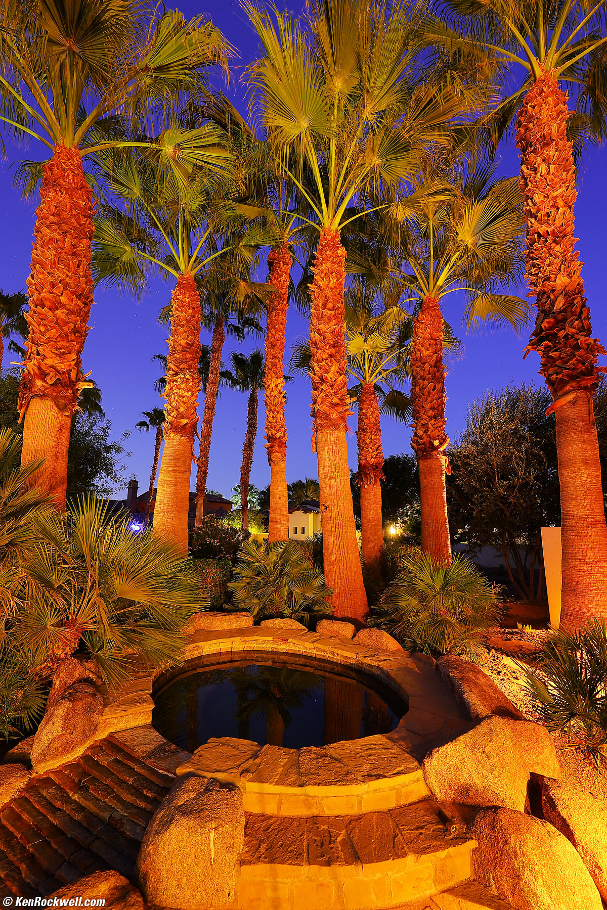 Canon 1DX Mk III Sample Image FIle