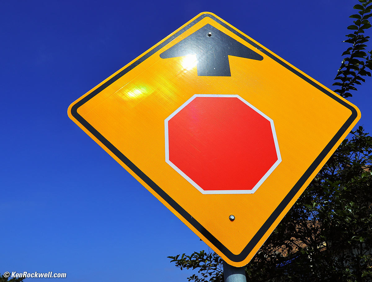 Canon 1DX Mk III Sample Image FIle