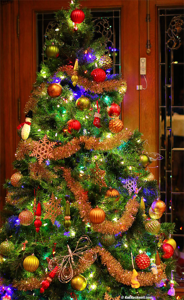 Christmas Tree, Ranch House, 12 December 2014