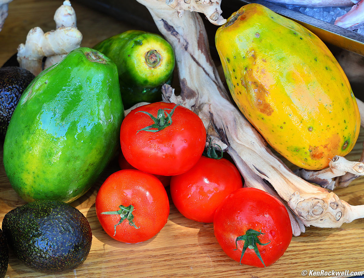 Canon EOS R Sample Image