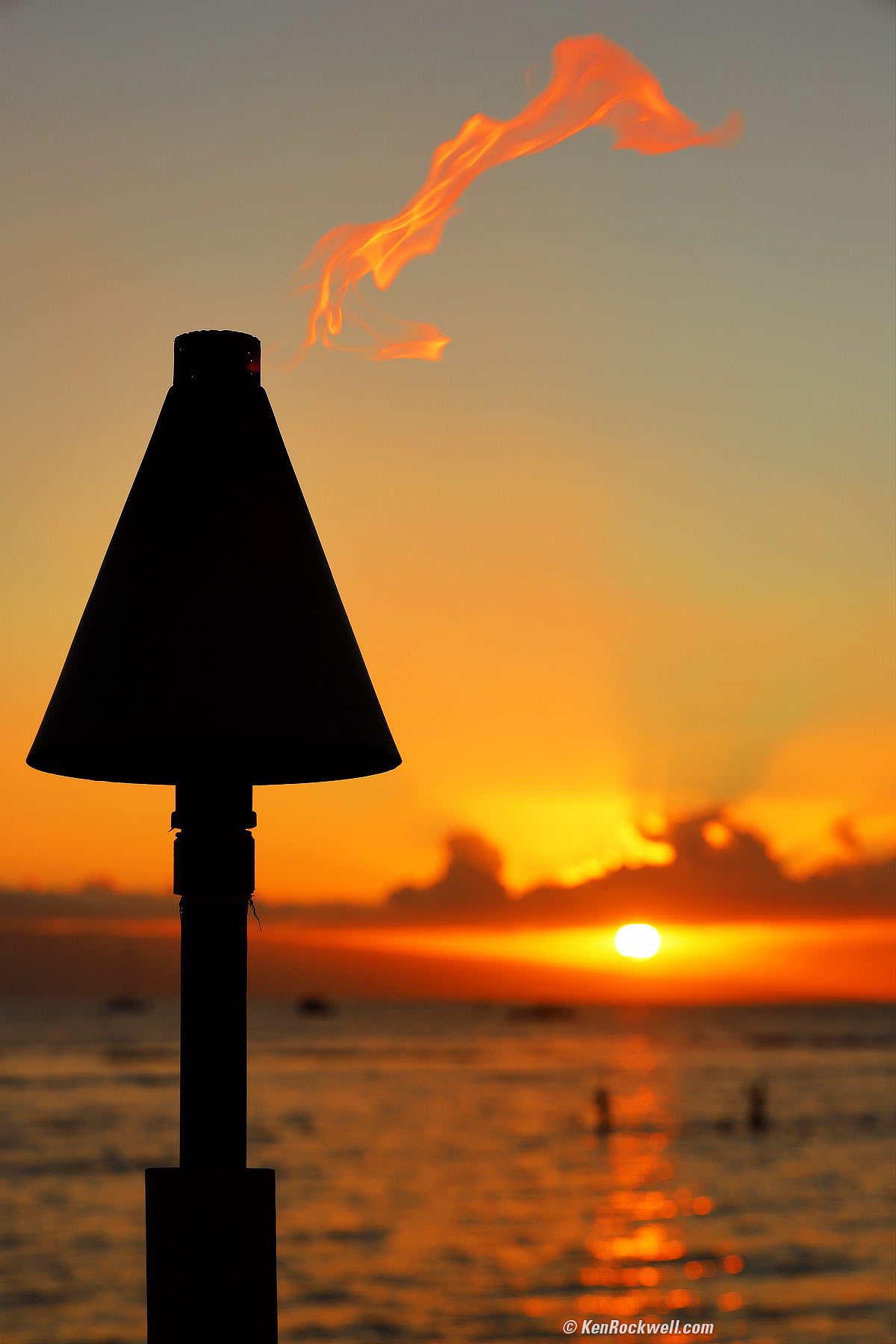 Canon EOS R Sample Image