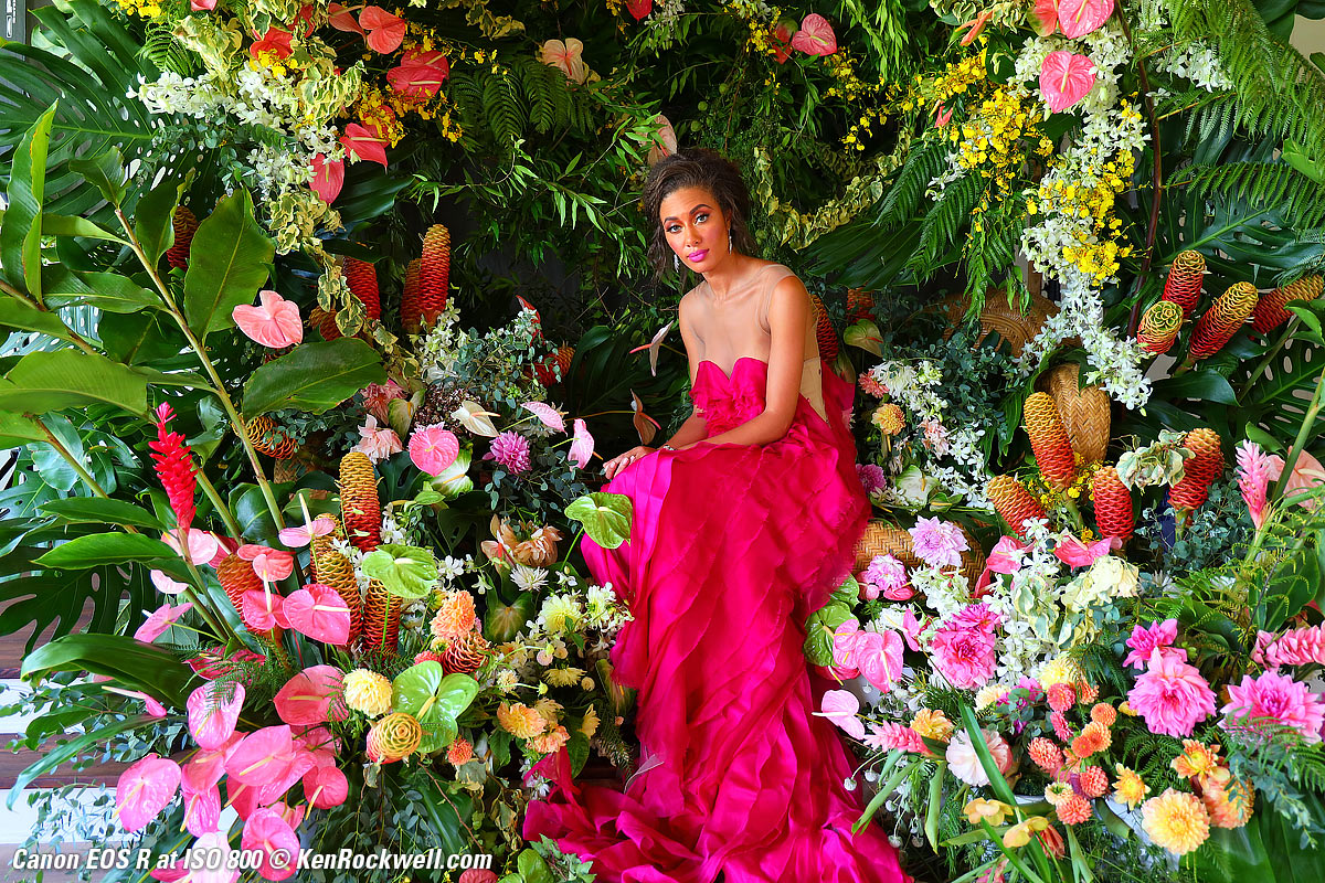 Canon EOS R High ISO Sample Image File